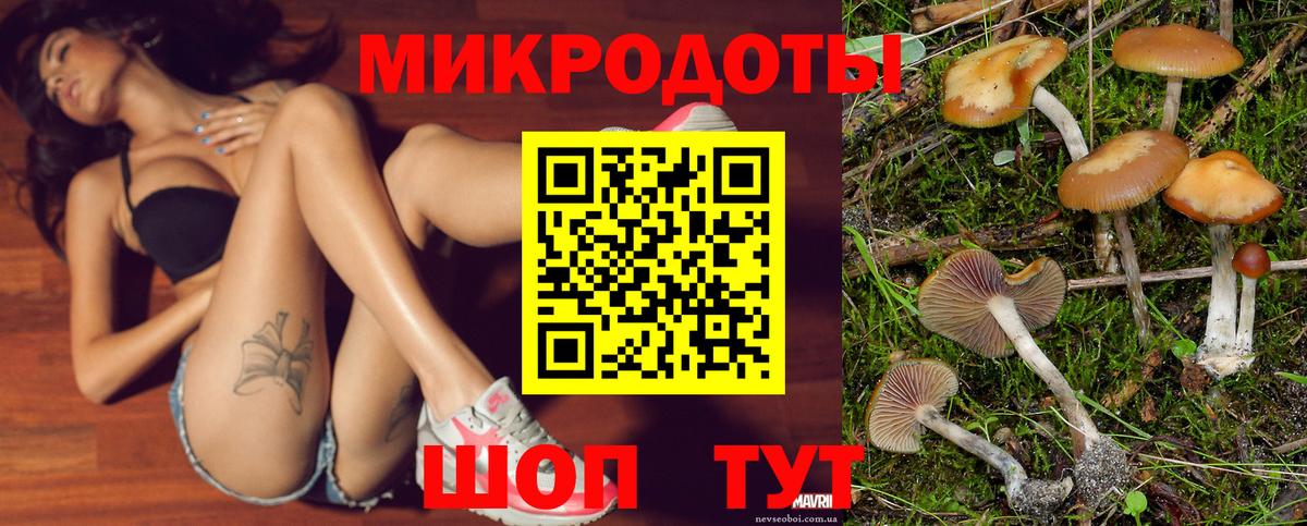Галлюциногенные грибы Psilocybe  Вход с VPN  Ефремов 